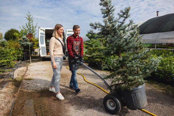 Tree Service Company in Kathleen, FL